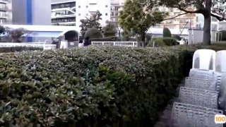 六月丁香色婷婷综合久久-免费在线播放 - 猫咪影院